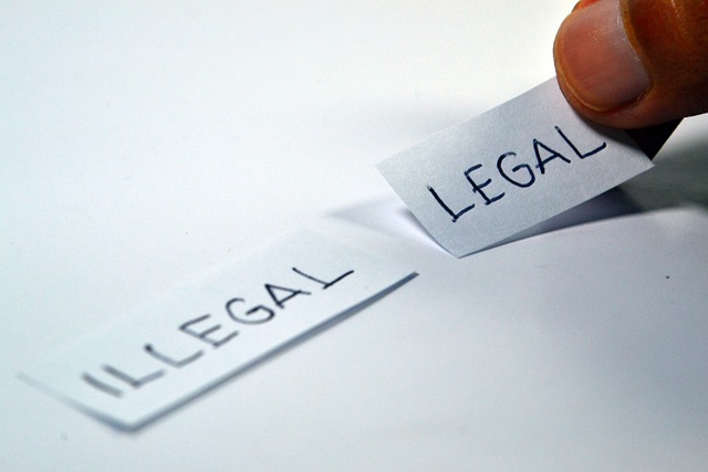La importancia de elegir un buen procurador para los asuntos legales